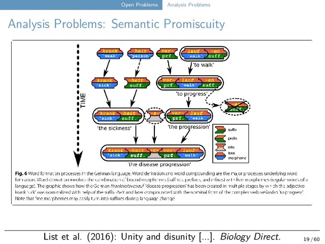 Open Problems Analysis Problems
Analysis Problems: Semantic Promiscuity
List et al. (2016): Unity and disunity [...]. Biology Direct. 19 / 60

