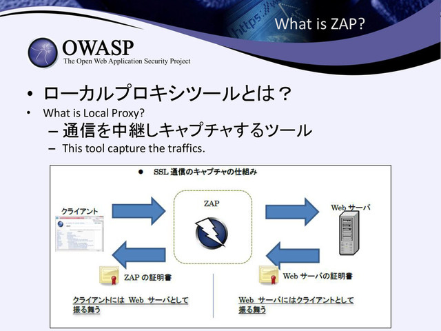 What is ZAP?
• ローカルプロキシツールとは？
• What is Local Proxy?
– 通信を中継しキャプチャするツール
– This tool capture the traffics.
