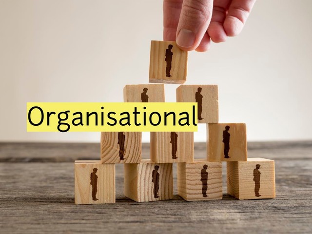 Organisational
