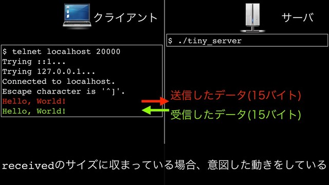 $ ./tiny_server
$ telnet localhost 20000
Trying ::1...
Trying 127.0.0.1...
Connected to localhost.
Escape character is '^]'.
Hello, World!
Hello, World!
ૹ৴ͨ͠σʔλ όΠτ

ΫϥΠΞϯτ αʔό
ड৴ͨ͠σʔλ όΠτ

receivedͷαΠζʹऩ·͍ͬͯΔ৔߹ɺҙਤͨ͠ಈ͖Λ͍ͯ͠Δ
