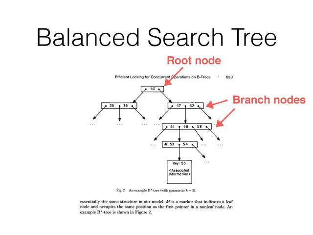 Balanced Search Tree
Root node
Branch nodes
