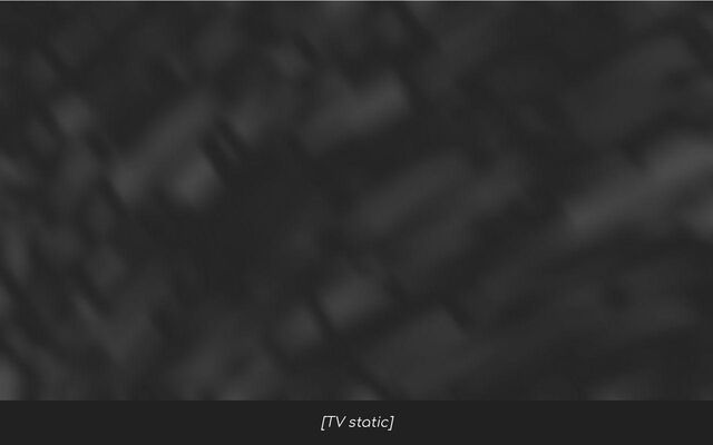 [TV static]
