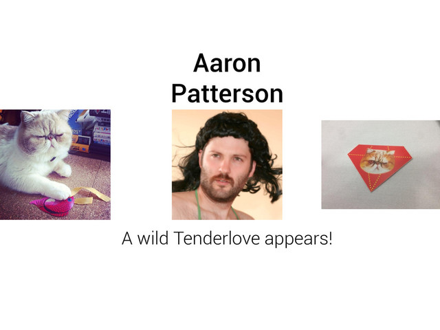 Aaron
Patterson
A wild Tenderlove appears!
