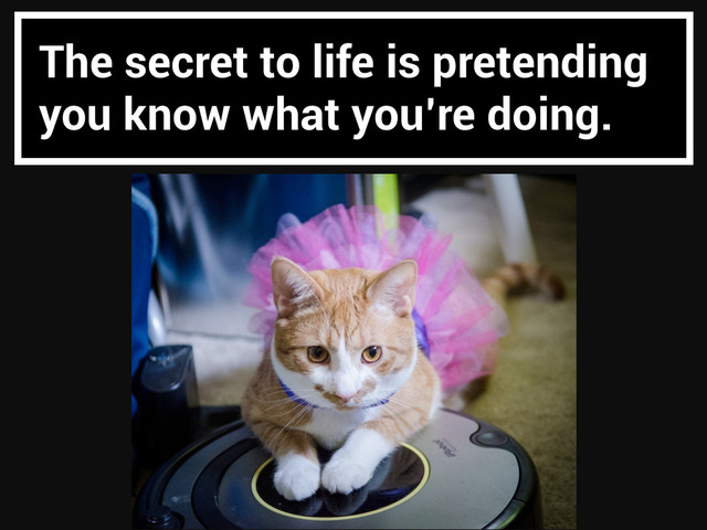 The secret to life is pretending
you know what you’re doing.
