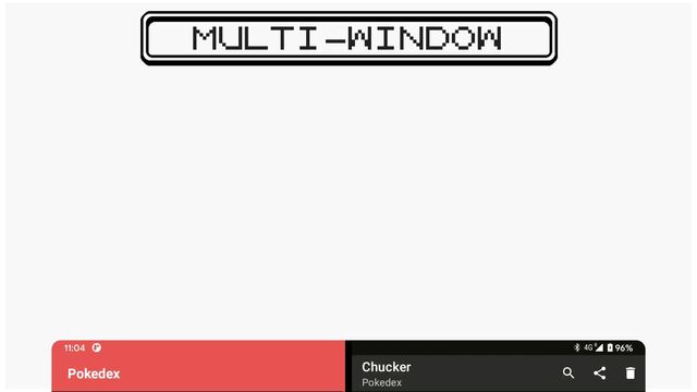 MULTI-WINDOW
