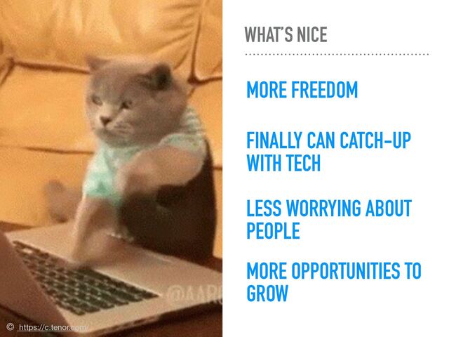 WHAT’S NICE
MORE FREEDOM
FINALLY CAN CATCH-UP
WITH TECH
LESS WORRYING ABOUT
PEOPLE
MORE OPPORTUNITIES TO
GROW
© https://c.tenor.com/
