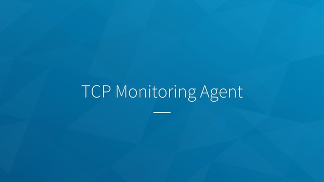 TCP Monitoring Agent
