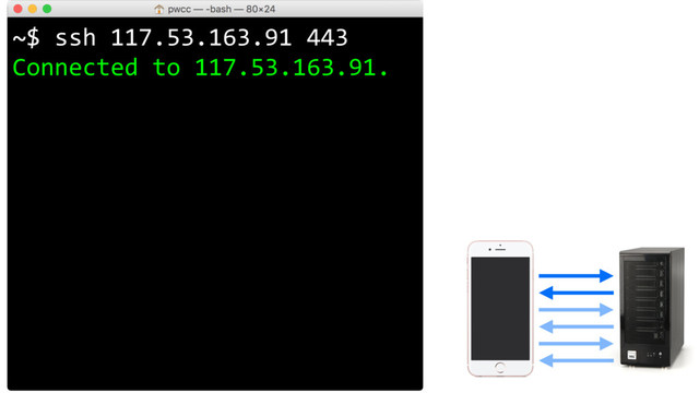 ~$ ssh 117.53.163.91 443
Connected to 117.53.163.91.
