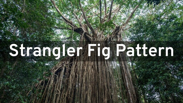 Strangler Fig Pattern
