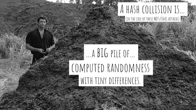 …a big pile of…-
computed randomness-
with tiny differences.-
A hash collision is...-
(in the case of these MD5/SHA1 attacks)-
