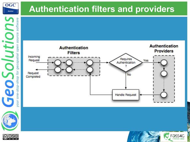 Authentication filters and providers
