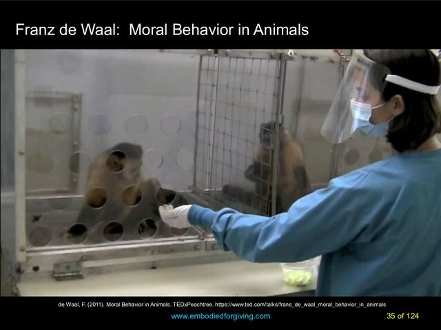 www.embodiedforgiving.com 35 of 124
de Waal, F. (2011). Moral Behavior in Animals. TEDxPeachtree. https://www.ted.com/talks/frans_de_waal_moral_behavior_in_animals
Franz de Waal: Moral Behavior in Animals
