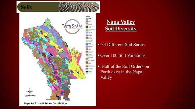 6
▪ 33 Different Soil Series
▪Over 100 Soil Variations
▪ Half of the Soil Orders on
Earth exist in the Napa
Valley
Napa Valley
Soil Diversity
Soils
