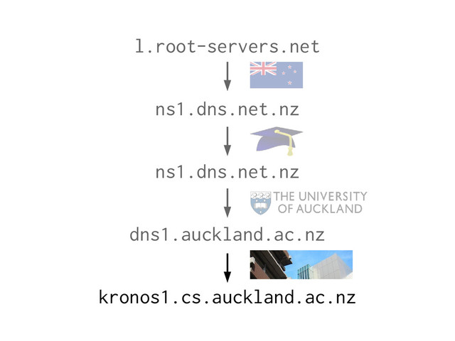 l.root-servers.net
ns1.dns.net.nz
ns1.dns.net.nz
dns1.auckland.ac.nz
kronos1.cs.auckland.ac.nz
