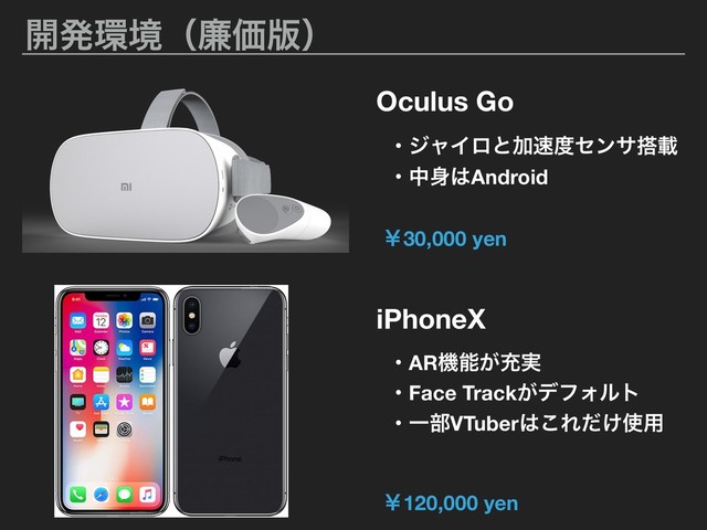 ։ൃ؀ڥʢ྿Ձ൛ʣ
Oculus Go
iPhoneX
ɾARػೳ͕ॆ࣮
ɾδϟΠϩͱՃ଎౓ηϯα౥ࡌ
ɾத਎͸Android
ɾFace Track͕σϑΥϧτ
ɾҰ෦VTuber͸͜Ε͚ͩ࢖༻
ˇ30,000 yen
ˇ120,000 yen
