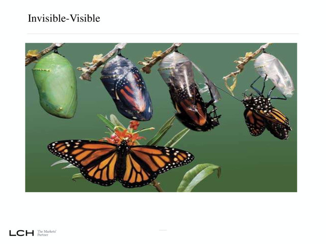 Invisible-Visible
