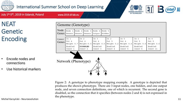 International Summer School on Deep Learning
Michał Karzyński - Neuroevolution 11
NEAT
Genetic
Encoding
• Encode nodes and
connections
• Use historical markers
