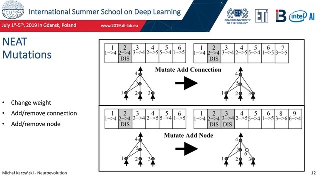 International Summer School on Deep Learning
Michał Karzyński - Neuroevolution 12
NEAT
Mutations
• Change weight
• Add/remove connection
• Add/remove node
