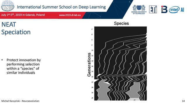 International Summer School on Deep Learning
Michał Karzyński - Neuroevolution 14
NEAT
Speciation
• Protect innovation by
performing selection
within a “species” of
similar individuals
