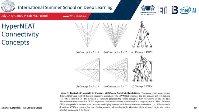 International Summer School on Deep Learning
Michał Karzyński - Neuroevolution 20
HyperNEAT
Connectivity
Concepts
