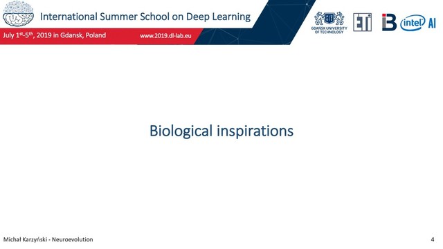 International Summer School on Deep Learning
Michał Karzyński - Neuroevolution 4
Biological inspirations
