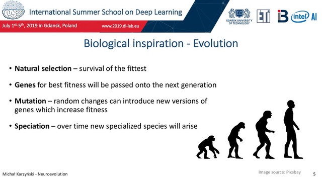 International Summer School on Deep Learning
Michał Karzyński - Neuroevolution 5
Biological inspiration - Evolution
• Natural selection – survival of the fittest
• Genes for best fitness will be passed onto the next generation
• Mutation – random changes can introduce new versions of
genes which increase fitness
• Speciation – over time new specialized species will arise
Image source: Pixabay
