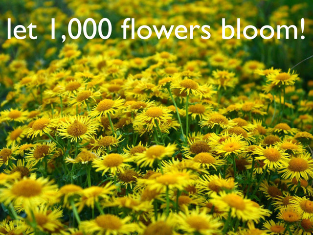 let 1,000 ﬂowers bloom!
