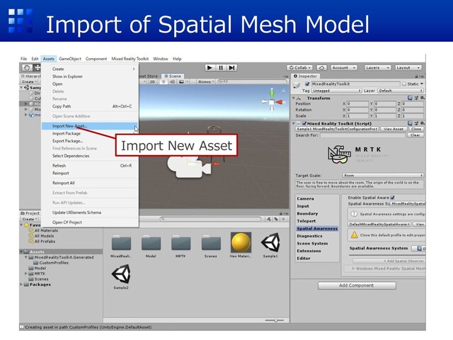 Import of Spatial Mesh Model
Import New Asset
