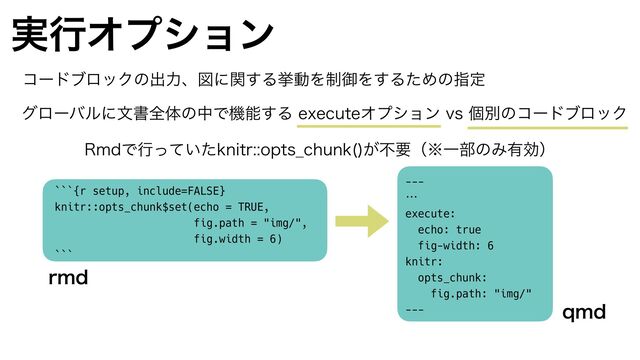 ࣮ߦΦϓγϣϯ
άϩʔόϧʹจॻશମͷதͰػೳ͢ΔFYFDVUFΦϓγϣϯWTݸผͷίʔυϒϩοΫ
ίʔυϒϩοΫͷग़ྗɺਤʹؔ͢ΔڍಈΛ੍ޚΛ͢ΔͨΊͷࢦఆ
3NEͰߦ͍ͬͯͨLOJUSPQUT@DIVOL 
͕ෆཁʢ˞Ұ෦ͷΈ༗ޮʣ
```{r setup, include=FALSE}


knitr::opts_chunk$set(echo = TRUE,


fig.path = "img/",


fig.width = 6)


```
---


…


execute:


echo: true


fig-width: 6


knitr:


opts_chunk:


fig.path: "img/"


---
SNE
RNE
