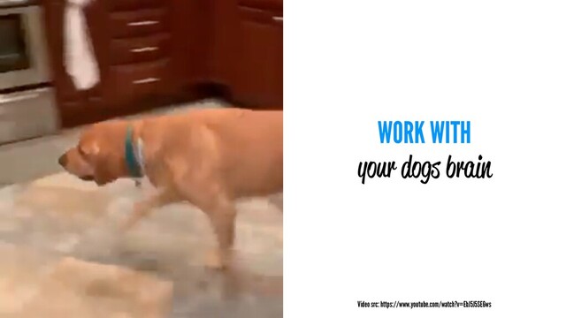 WORK WITH
your dogs brain
Video src: https://www.youtube.com/watch?v=EbJ5J5SE6ws
