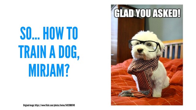 SO... HOW TO
TRAIN A DOG,
MIRJAM?
Original image: https://www.flickr.com/photos/lovine/5433988749
