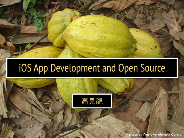 iOS App Development and Open Source
⾼高⾒見⻯⿓龍
photo by World Agroforesty Centre
