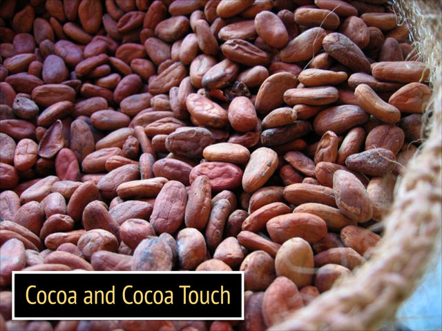 Cocoa and Cocoa Touch
