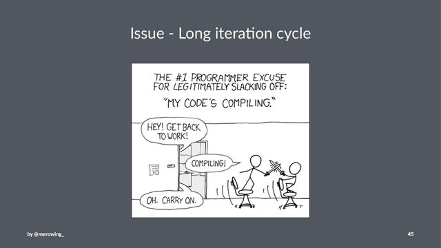 Issue - Long itera/on cycle
by @merowing_ 45
