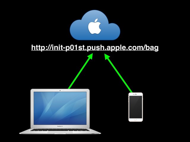 
http://init-p01st.push.apple.com/bag
