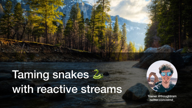 Taming snakes 
with reactive streams
Trainer @thoughtram
twitter.com/elmd_
