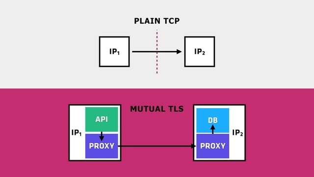IP2
IP1
IP1 IP2
MUTUAL TLS
PLAIN TCP
PROXY
DB
API
PROXY
