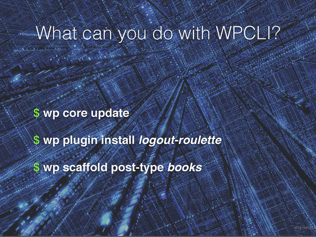 What can you do with WPCLI?
$ wp core update !
$ wp plugin install logout-roulette!
$ wp scaffold post-type books
