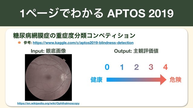 1ϖʔδͰΘ͔Δ APTOS 2019
Input: ؟ఈը૾ Output: ओ؍ධՁ஋
݈߁ ةݥ
0 1 2 3 4
౶೘ප໢ບ঱ͷॏ঱౓෼ྨίϯϖςΟγϣϯ
ࢀߟ: https://www.kaggle.com/c/aptos2019-blindness-detection
https://en.wikipedia.org/wiki/Ophthalmoscopy
