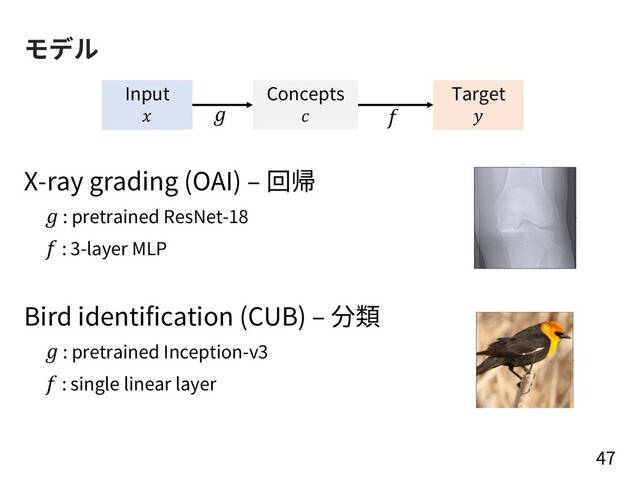 モデル
X-ray grading (OAI) ‒ 回帰
 : pretrained ResNet-18
 : 3-layer MLP
Bird identification (CUB) ‒ 分類
 : pretrained Inception-v3
 : single linear layer
47
Input
  
Concepts

Target

