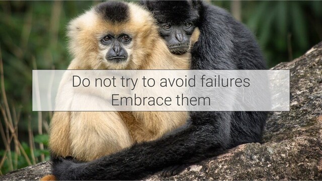 Do not try to avoid failures
Embrace them
