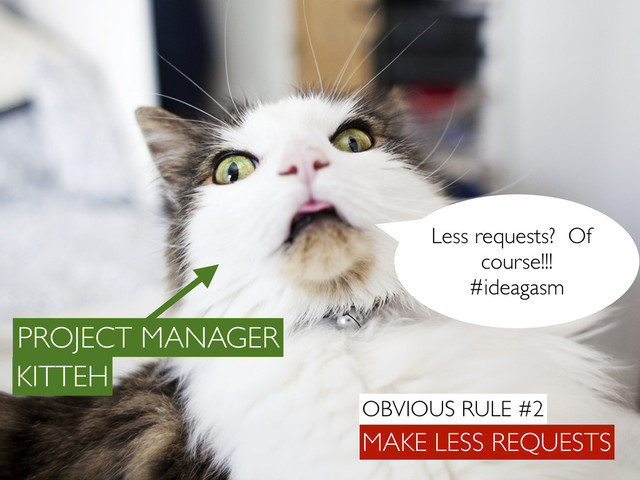 Less requests? Of
course!!!
#ideagasm
MAKE LESS REQUESTS
PROJECT MANAGER
KITTEH
OBVIOUS RULE #2
