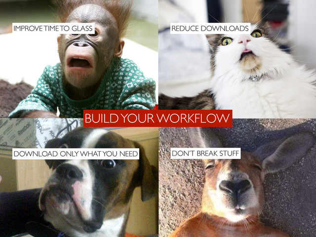 BUILD YOUR WORKFLOW
DOWNLOAD ONLY WHAT YOU NEED
REDUCE DOWNLOADS
IMPROVE TIME TO GLASS
DON’T BREAK STUFF
