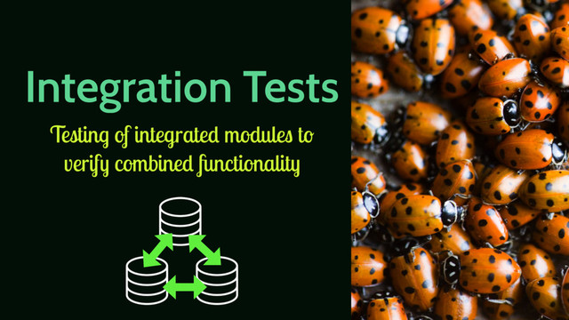 Integration Tests
Testing of integrated modules to
verify combined functionality
