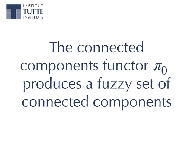 The connected
components functor p0
produces a fuzzy set of
connected components
π0
