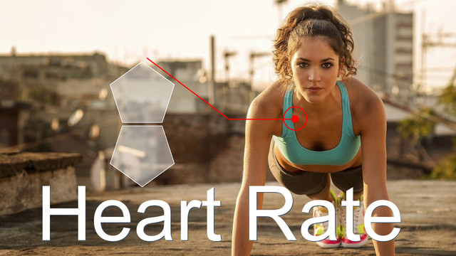 Heart Rate
Heart Rate
