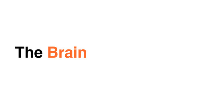 The Brain
