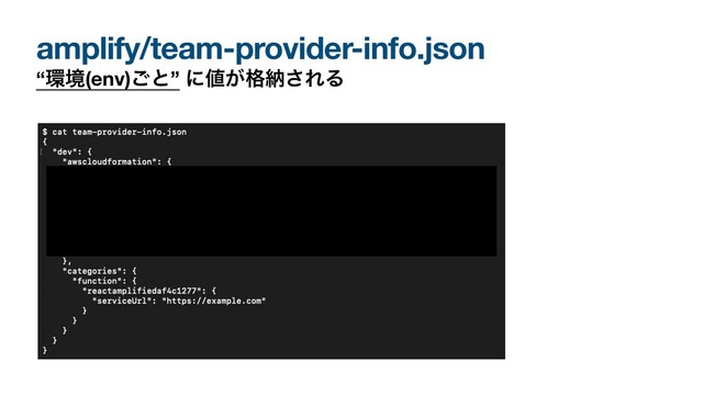 amplify/team-provider-info.json
“؀ڥ(env)͝ͱ” ʹ஋͕֨ೲ͞ΕΔ
