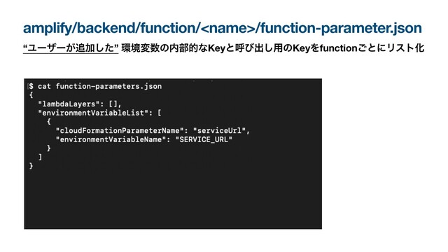 amplify/backend/function//function-parameter.json
“Ϣʔβʔ͕௥Ճͨ͠” ؀ڥม਺ͷ಺෦తͳKeyͱݺͼग़͠༻ͷKeyΛfunction͝ͱʹϦετԽ
