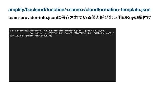 amplify/backend/function//cloudformation-template.json
team-provider-info.jsonʹอଘ͞Ε͍ͯΔ஋ͱݺͼग़͠༻ͷKeyͷඥ෇͚
